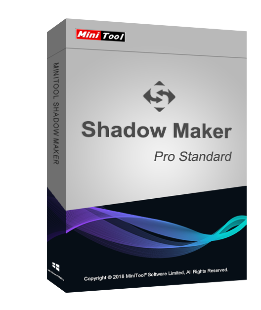 MiniTool ShadowMaker Pro License (1 Year /2 Devices)